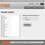 Rinse RealNetworks Fix iTunes Main Screen Organize Genres